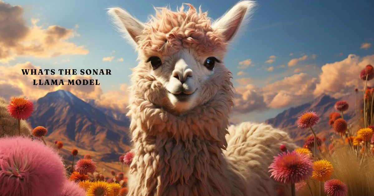 whats the sonar llama model